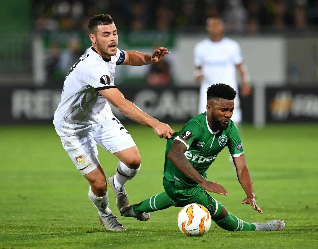 并不罕见 并不罕见